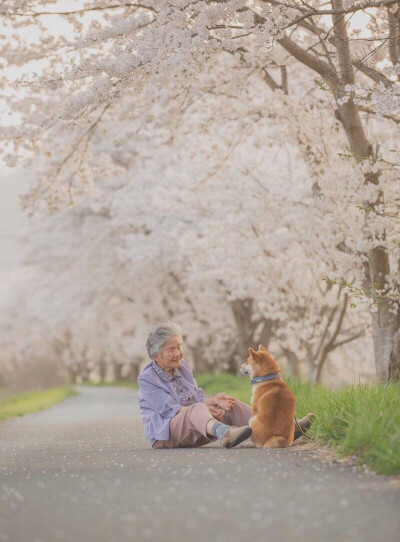 三点水