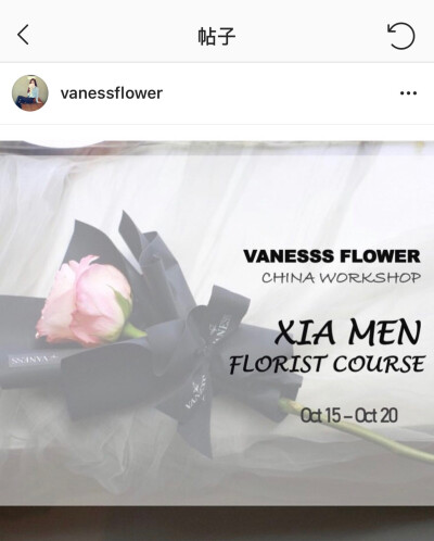 韩式花艺
vaness