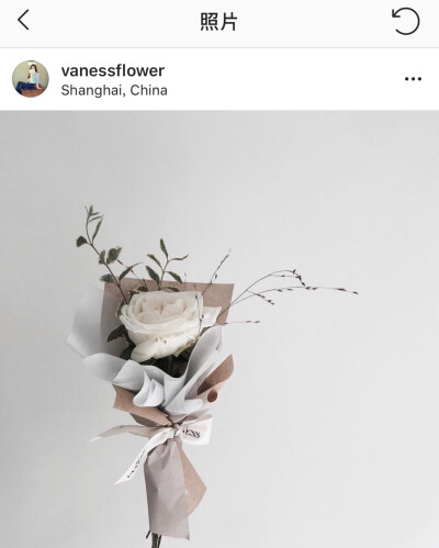 韩式花艺
vaness