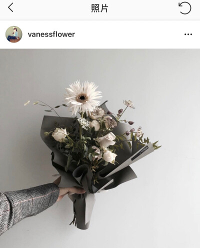 韩式花艺
vaness