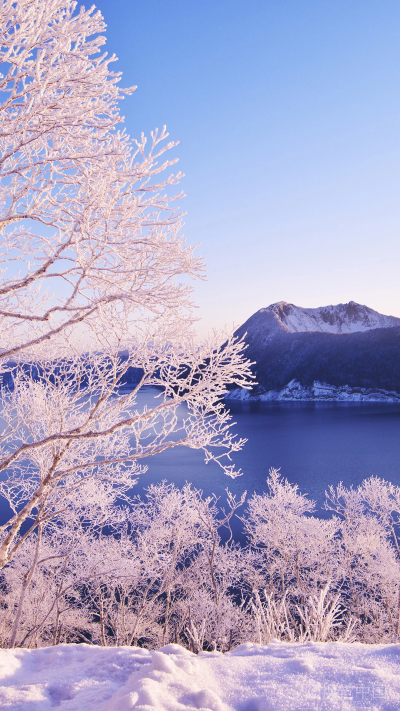 北海道