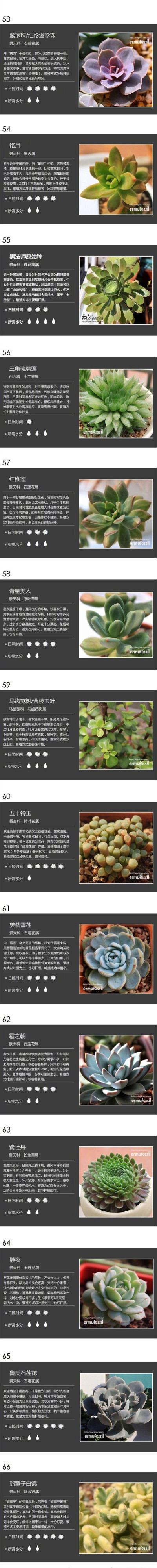 122种多肉植物名字对照图，养花的怎么可以不知道花名，值得收藏!