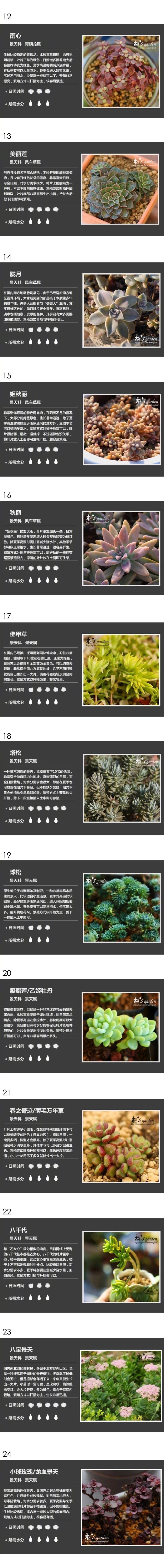 122种多肉植物名字对照图，养花的怎么可以不知道花名，值得收藏!