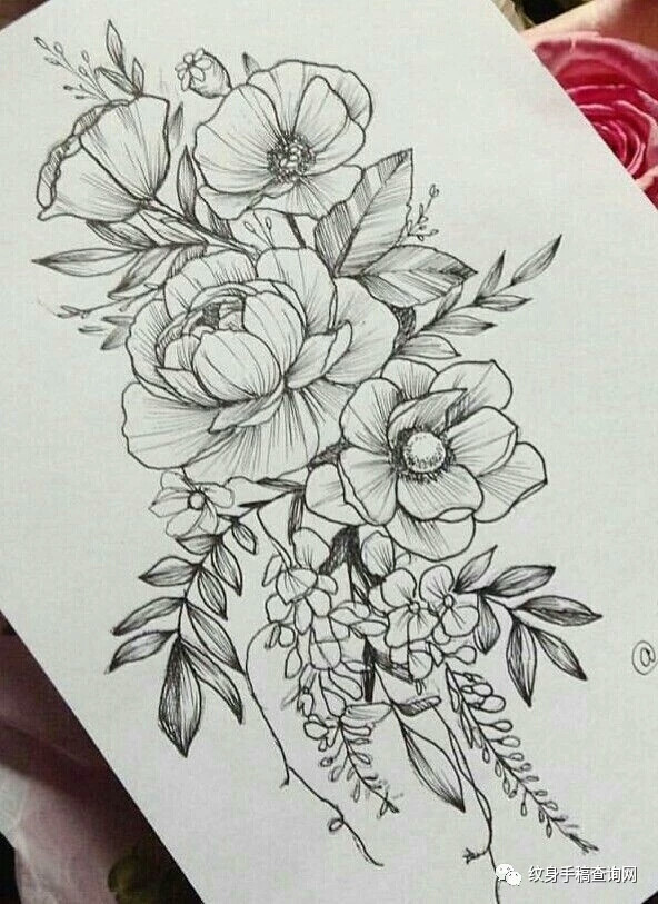 白描花卉