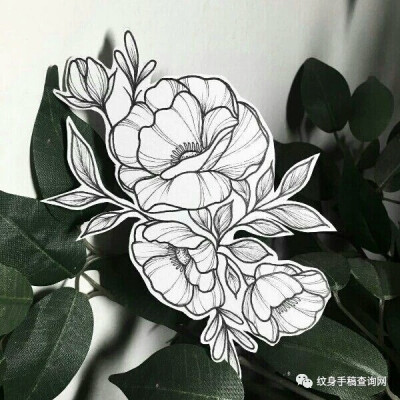 白描花卉