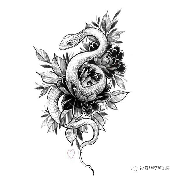 白描花卉