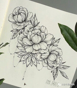 白描花卉