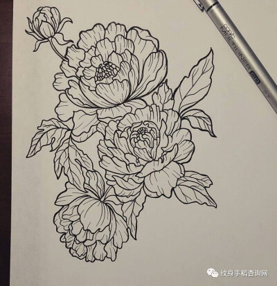 白描花卉