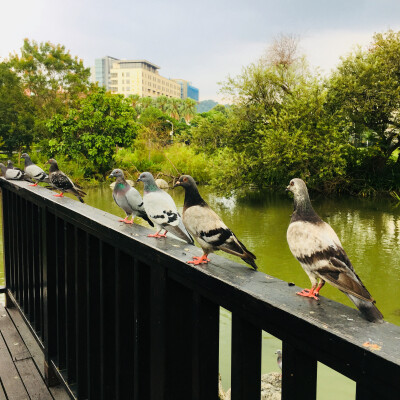 DAY 5 @國立台灣大學