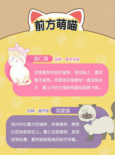 前方萌猫，七只猫，请认领