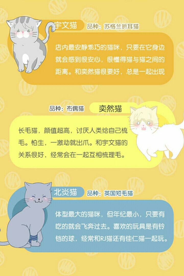 前方萌猫，七只猫，请认领