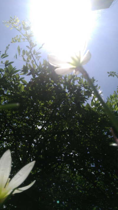sky