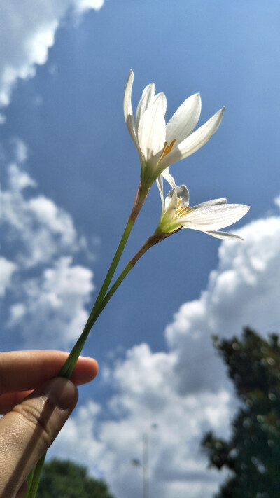 sky