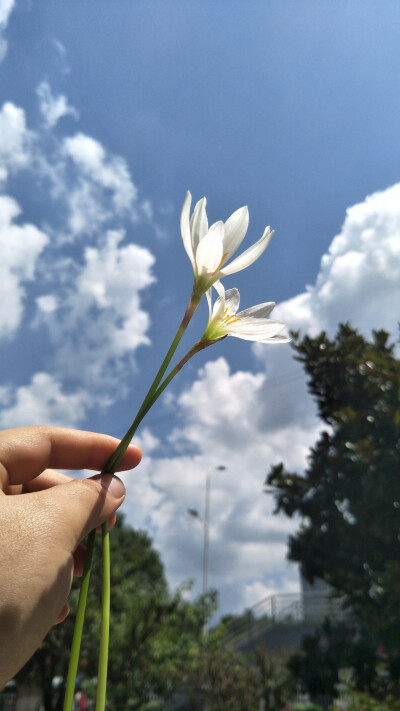 sky