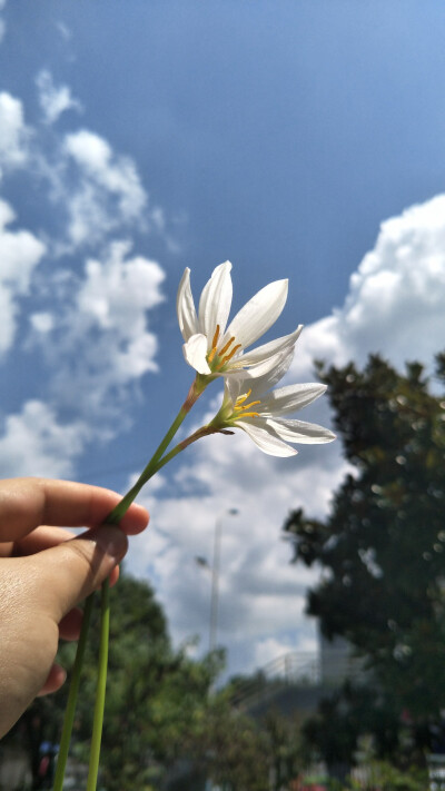 sky