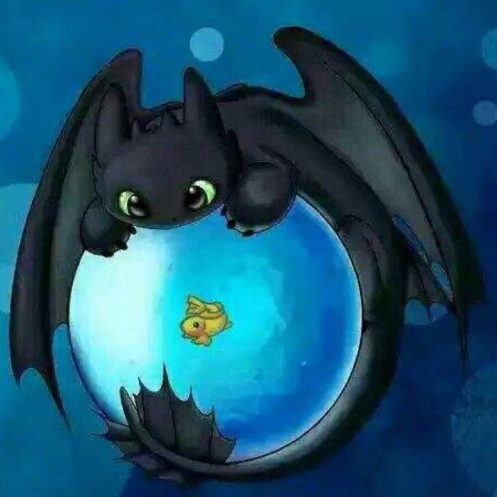 有喜欢无牙仔的嘛？
