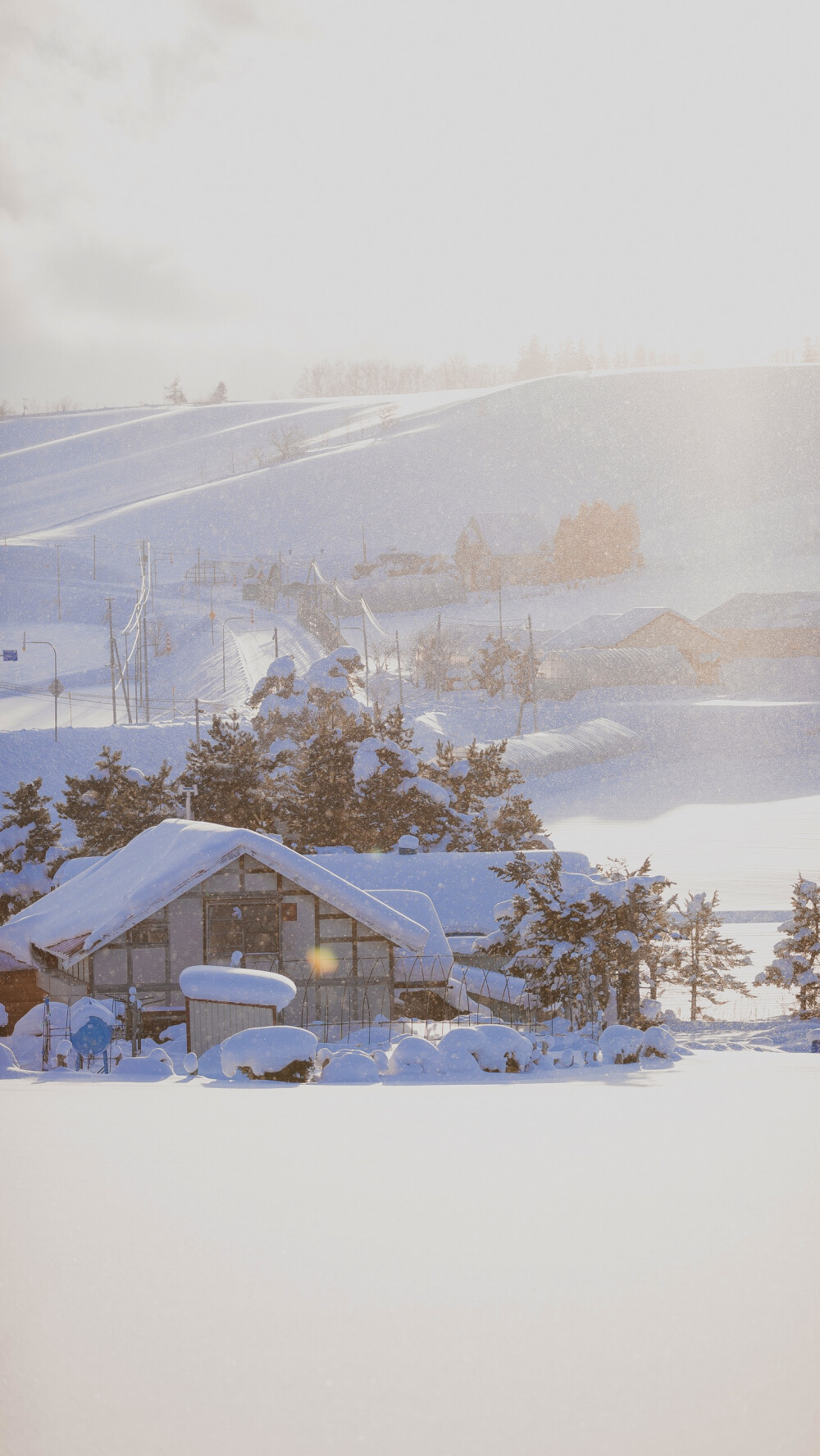 桌面 壁纸 背景 冬日 雪 