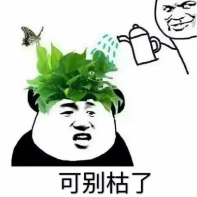 绿帽