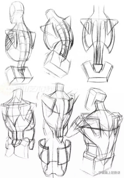 人体动作结构教学