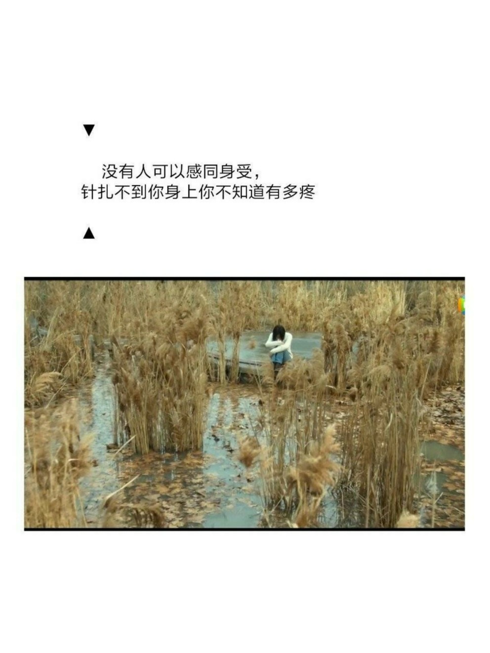 《悲伤逆流成河》