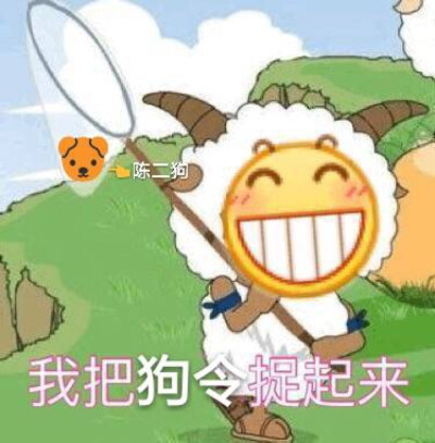 二狗表情包