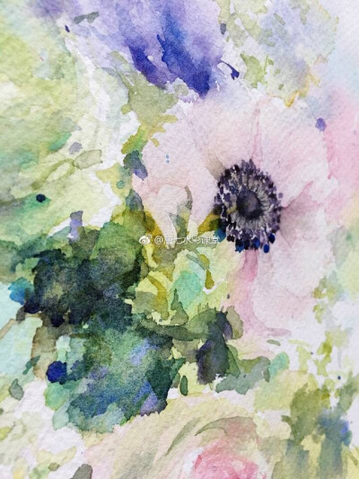 银莲花