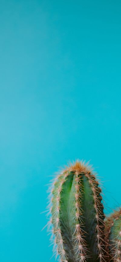 背景图.二传注明堆糖穹