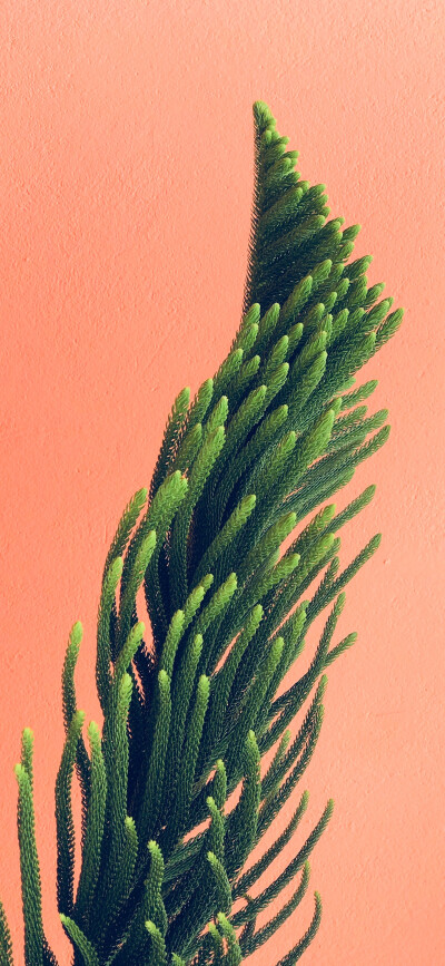 背景图.二传注明堆糖穹