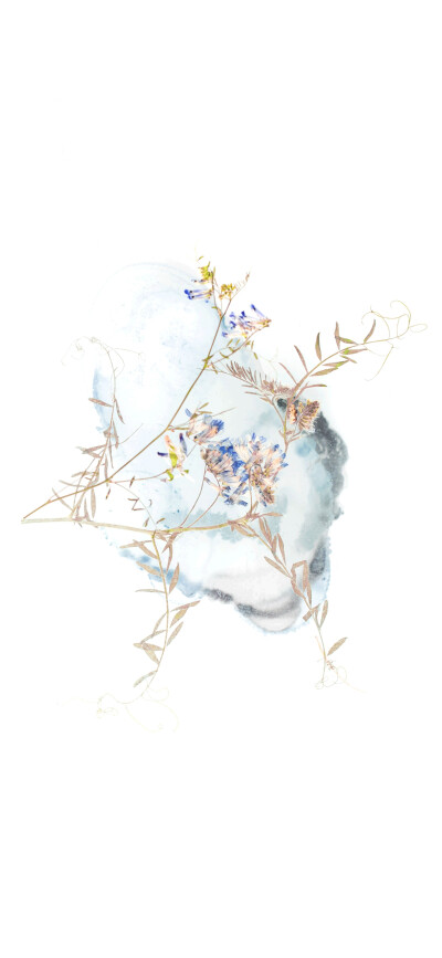 背景图.二传注明堆糖穹