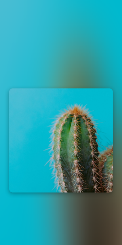 自制背景图.二传注明堆糖穹