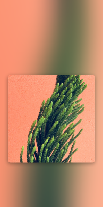 自制背景图.二传注明堆糖穹