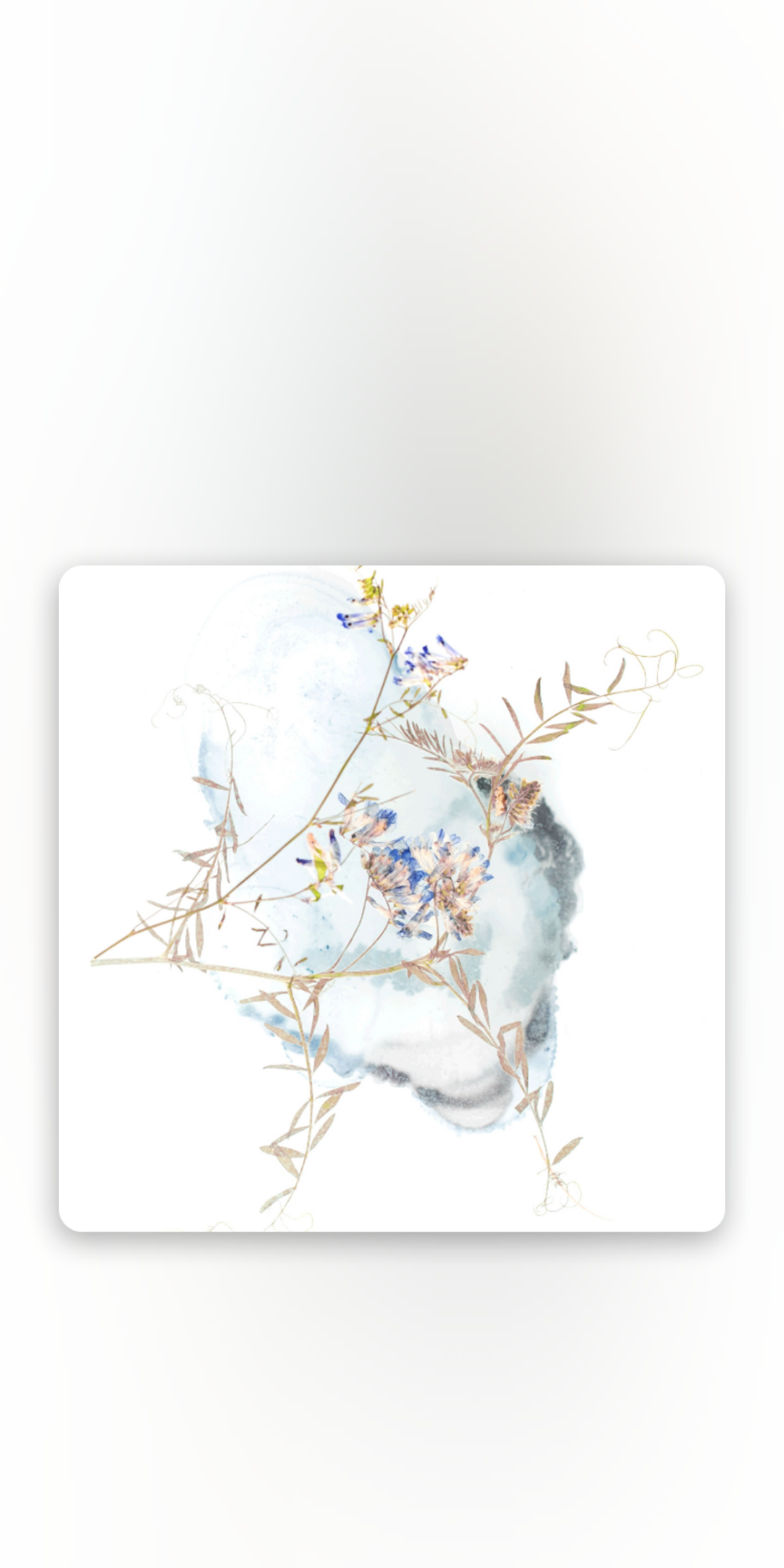 自制背景图.二传注明堆糖穹