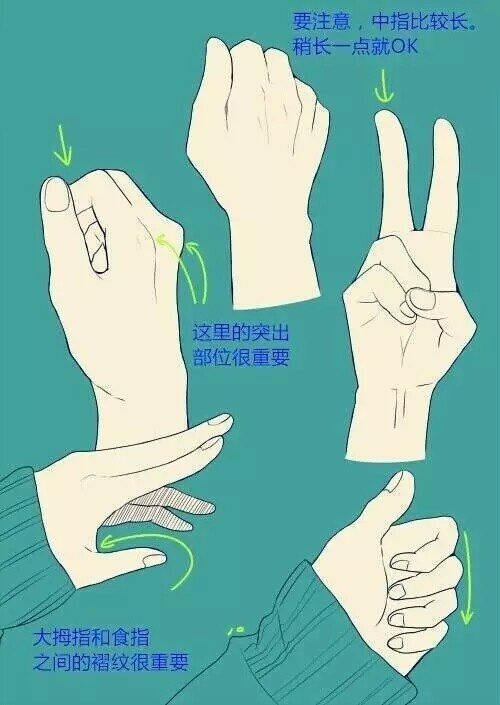 【绘画素材】手的画法