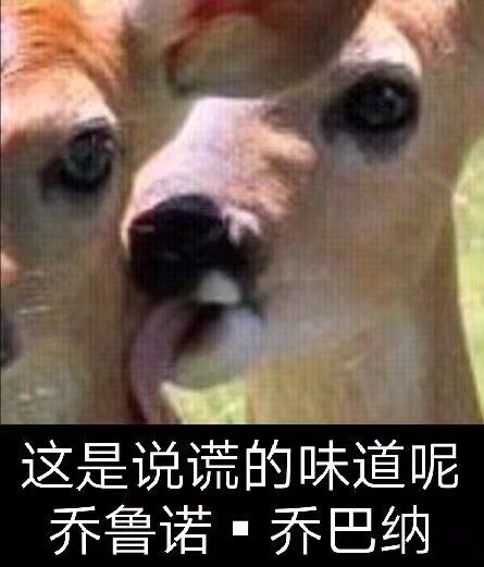 不以物喜