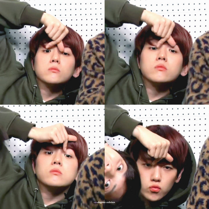 #朴灿烈# #边伯贤# #EXO# 灿白
壁纸 背景 头像 锁屏