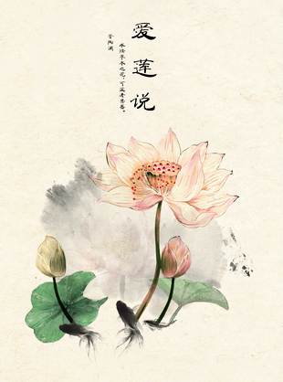 中国风荷花素材