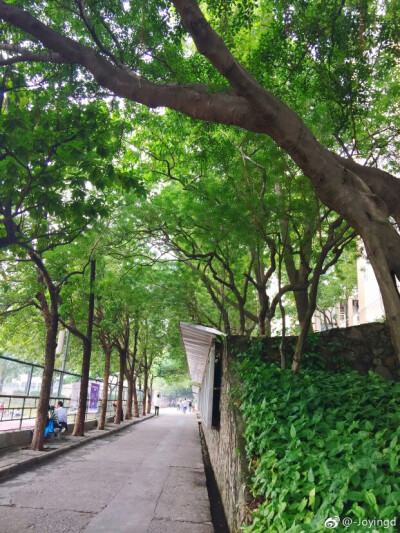 广东财经大学