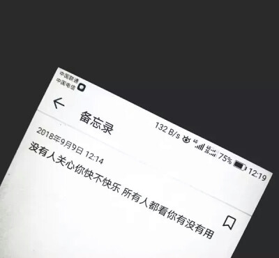 壁纸