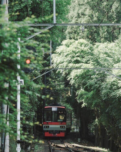 电车与街道