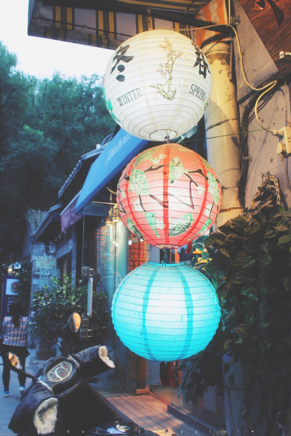 灯