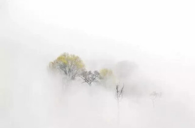 山西林州——秋天雾漫太行山，这是一首诗，更是一幅画。
山腰漫卷着渺渺茫茫的云海，把山峰托在半空，使这群峰一抹抹悬浮着，犹如海市层蜃楼一般。飘飘忽忽的白云不断变幻着美姿，如大海波涛汹涌澎湃，如缕缕青烟悠…