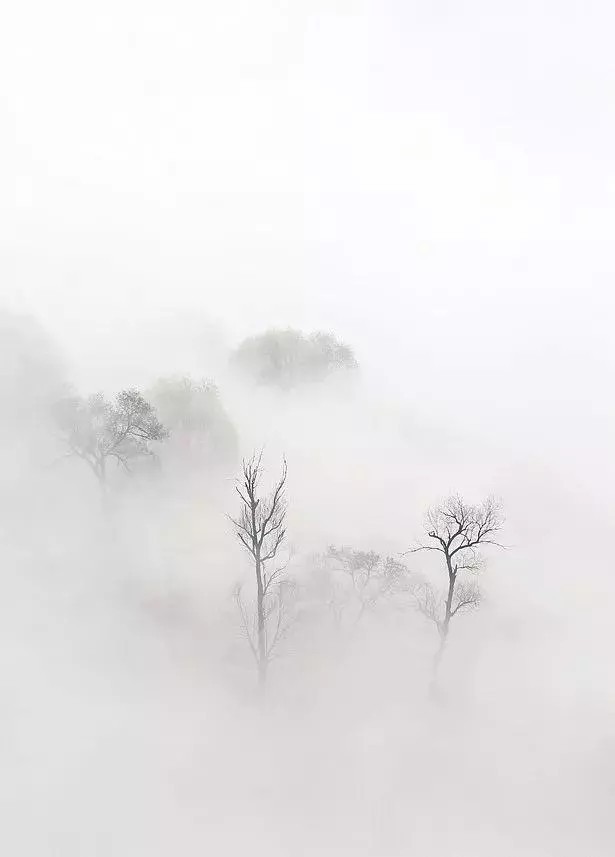 山西林州——秋天雾漫太行山，这是一首诗，更是一幅画。
山腰漫卷着渺渺茫茫的云海，把山峰托在半空，使这群峰一抹抹悬浮着，犹如海市层蜃楼一般。飘飘忽忽的白云不断变幻着美姿，如大海波涛汹涌澎湃，如缕缕青烟悠悠荡荡，如漫天大雾迷迷蒙蒙。云之下覆盖着多少美景，你可以放开思维的鸟儿，尽情地思，尽情地想，勾勒那美轮美奂的佳境。我想这正是画家的神来之笔，妙就妙在画家给欣赏者留下了广泛的思维空间，让你有意犹未尽的感觉，给画面平添了无穷的魅力。