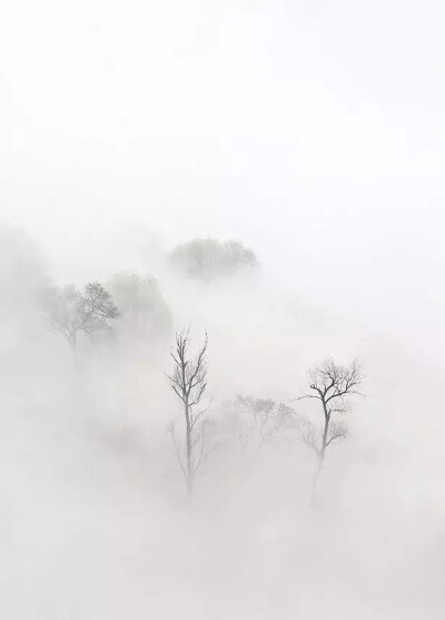 山西林州——秋天雾漫太行山，这是一首诗，更是一幅画。
山腰漫卷着渺渺茫茫的云海，把山峰托在半空，使这群峰一抹抹悬浮着，犹如海市层蜃楼一般。飘飘忽忽的白云不断变幻着美姿，如大海波涛汹涌澎湃，如缕缕青烟悠…