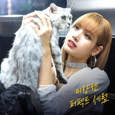 181030 likeithair 更新 lisa