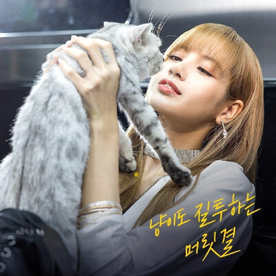 181030 likeithair 更新 lisa