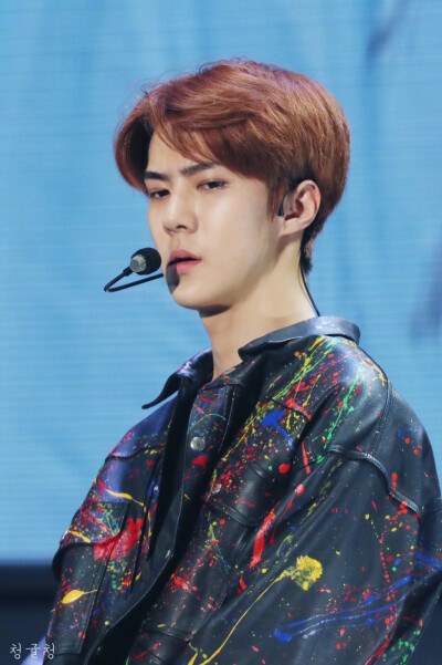 #朴灿烈 1127生日快乐# EXO 奶包 sehun 吴世勋 #壁纸 #头像