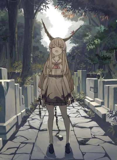 一个次元的距离