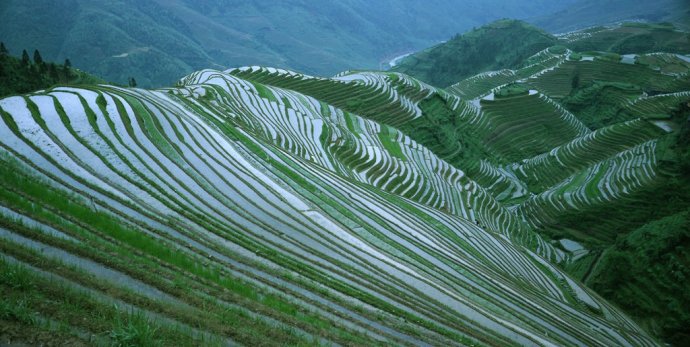 云南元阳哈尼梯田