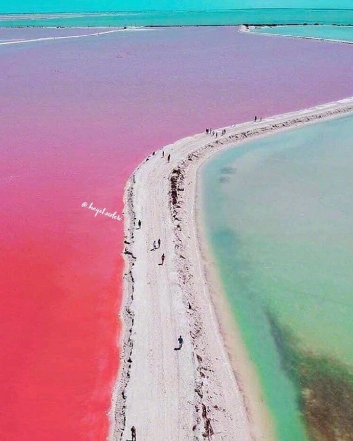 墨西哥景点Las Coloradas Yucatan用于海盐提取的巨大盐蒸发池位于这片土地上，其中一些由于微生物而呈现出奇特的颜色，如粉红色的泻湖Laguna Rosa。火烈鸟和观鸟在这里很常见，湖水颜色会随着季节的转换而有深浅色之差!位置：Yucatán, San Luis Río Colorado, Son., 墨西哥