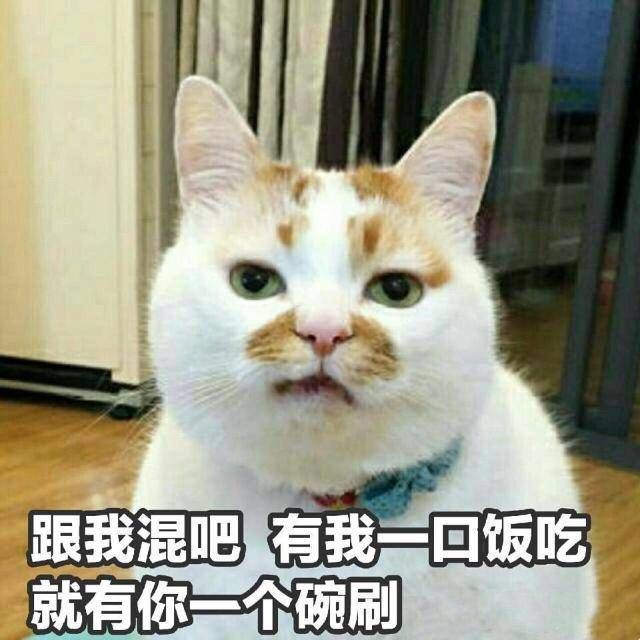 楼楼